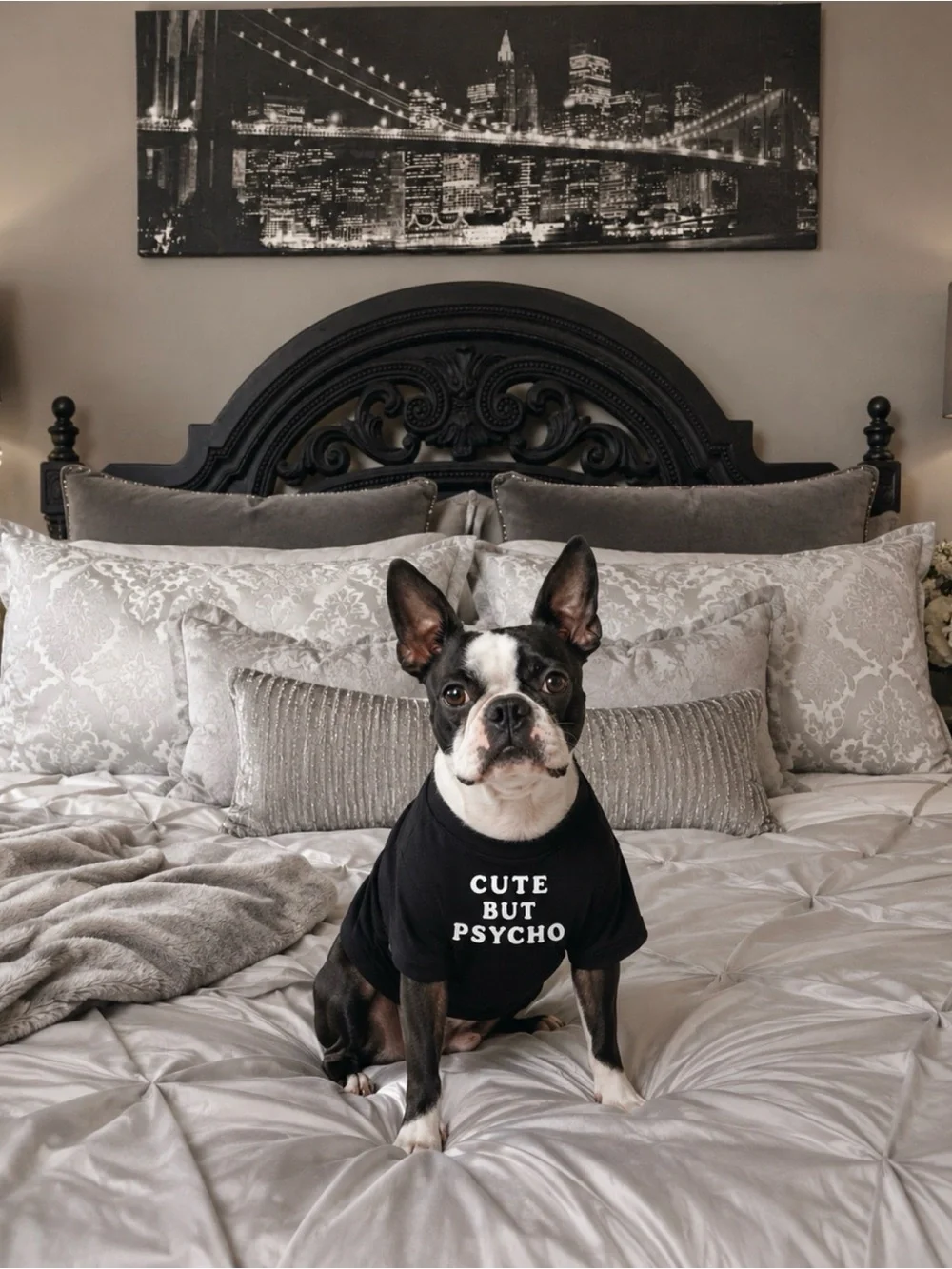 Dog Boutique “Cute But Psycho” Black Dog Shirt Size: Medium | Brand New